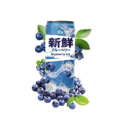 Fresh ACR Asian Style Blueberry Ice Sparkling, 330ml + Pfand - Jabban Market